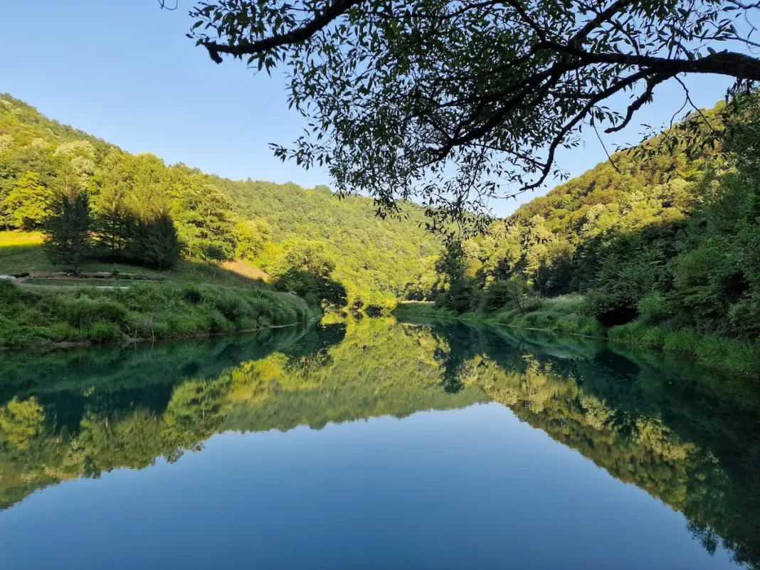 Servisne informacije – 12.avgust 2025.