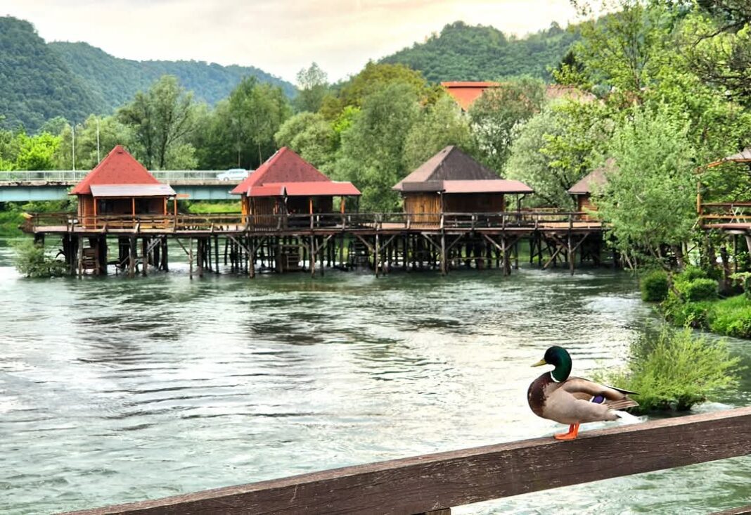 Servisne informacije – 21.august 2025.