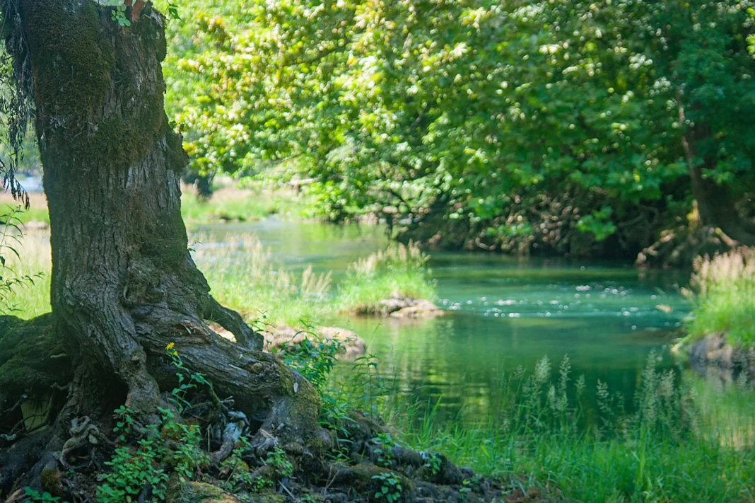 Servisne informacije – 19.8.2025.