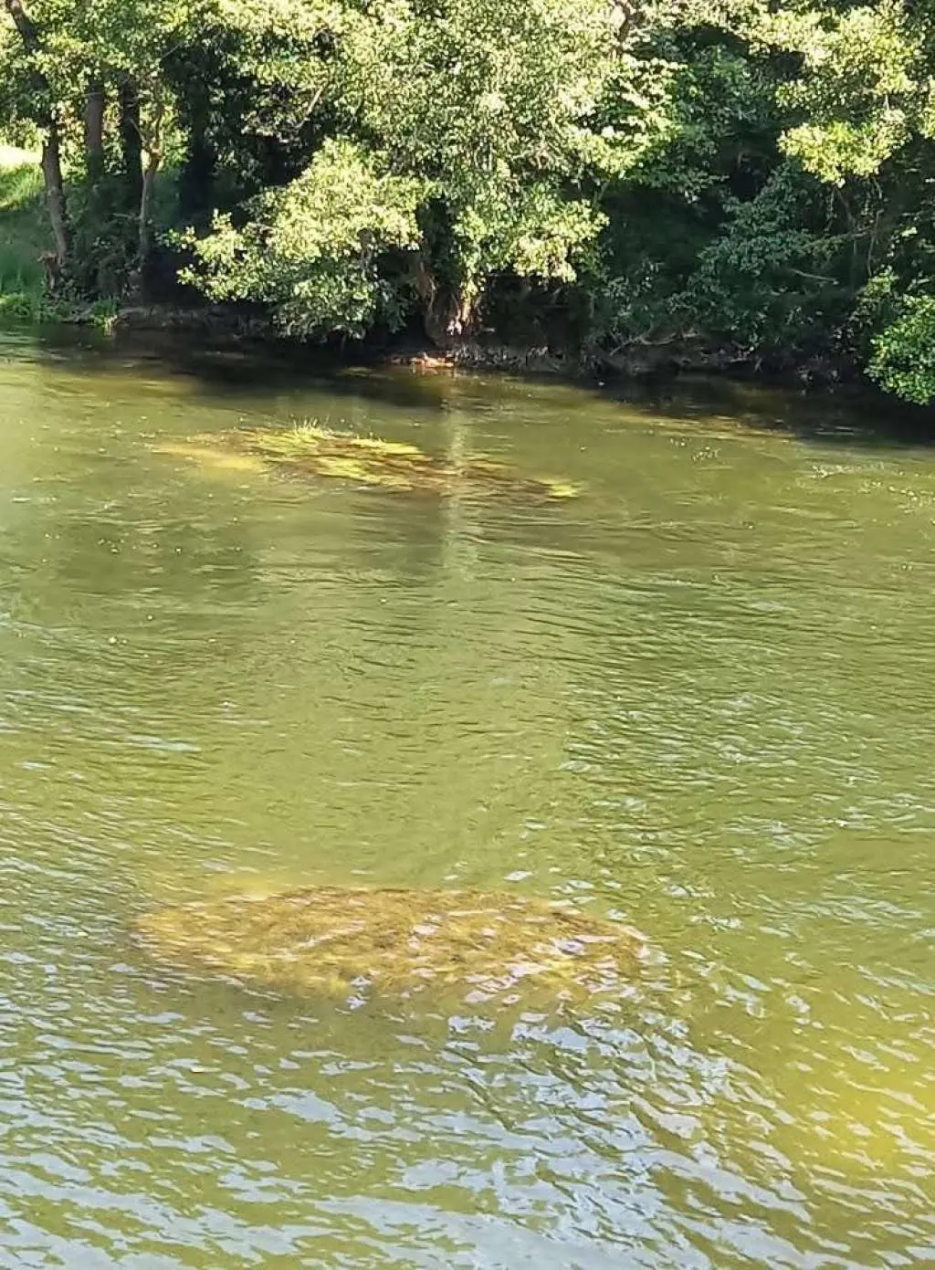 Gradonačelnici Bihaća i Bosanske Krupe imaju različite stavove o mogućem zagađenju Une