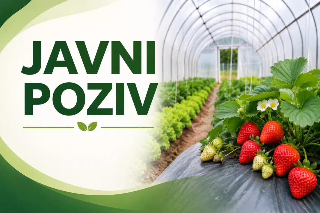 Javni poziv za podnošenje zahtjeva za sufinansiranje troškova proizvodnje povrća i jagode u plastenicima od 100 m2 do 200 m2 površine Preuzmite: JAVNI POZIV za podnošenje zahtjeva za sufinansiranje troškova proizvodnje povrća i jagode u plastenicima od 100 m2 do 200 m2 površine
